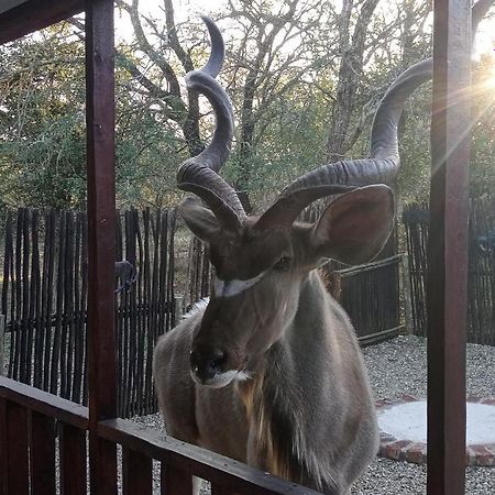 Wild Escape Villa Marloth Park Exterior photo